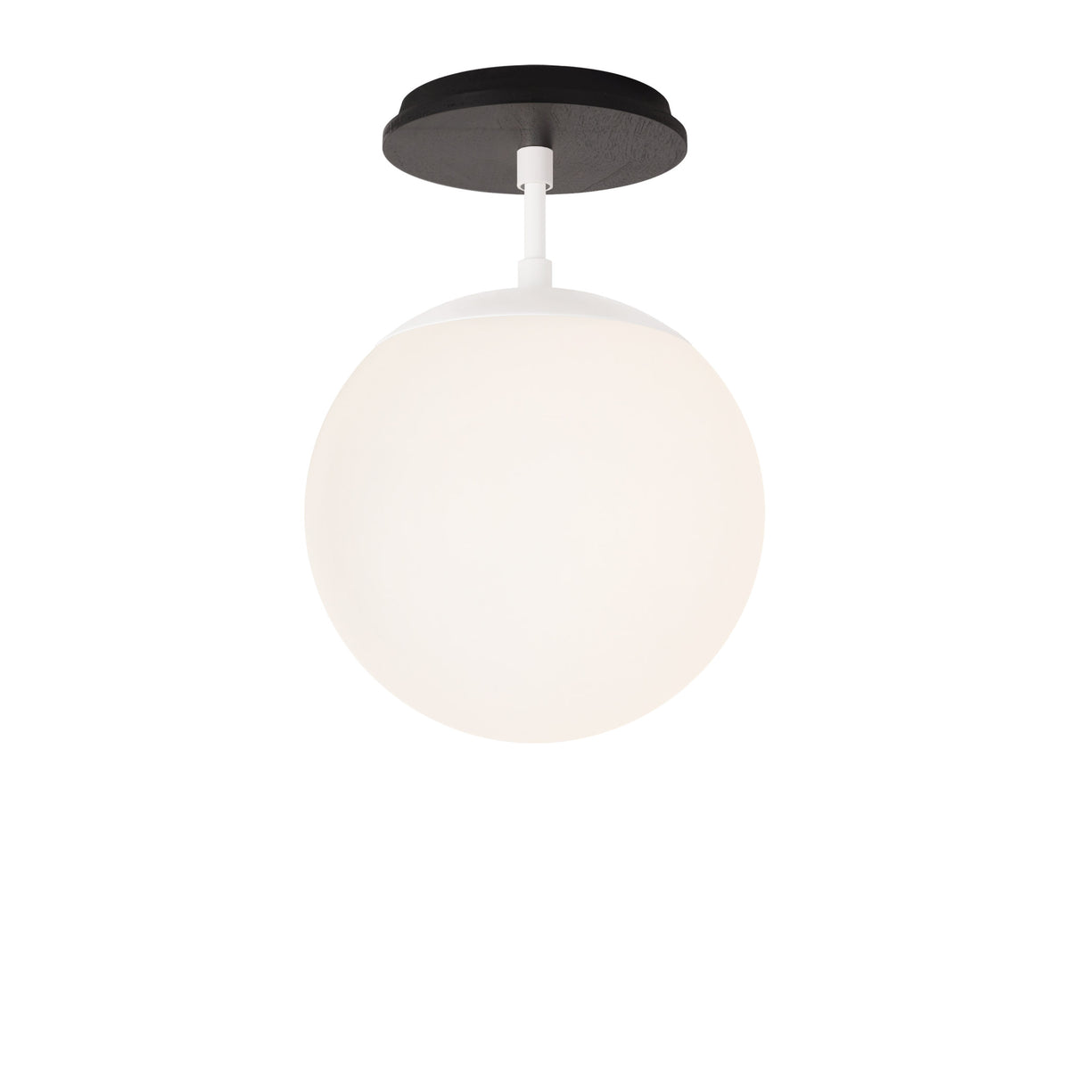 Alto Surface 8" shown in White with a Black Stained Wood Canopy