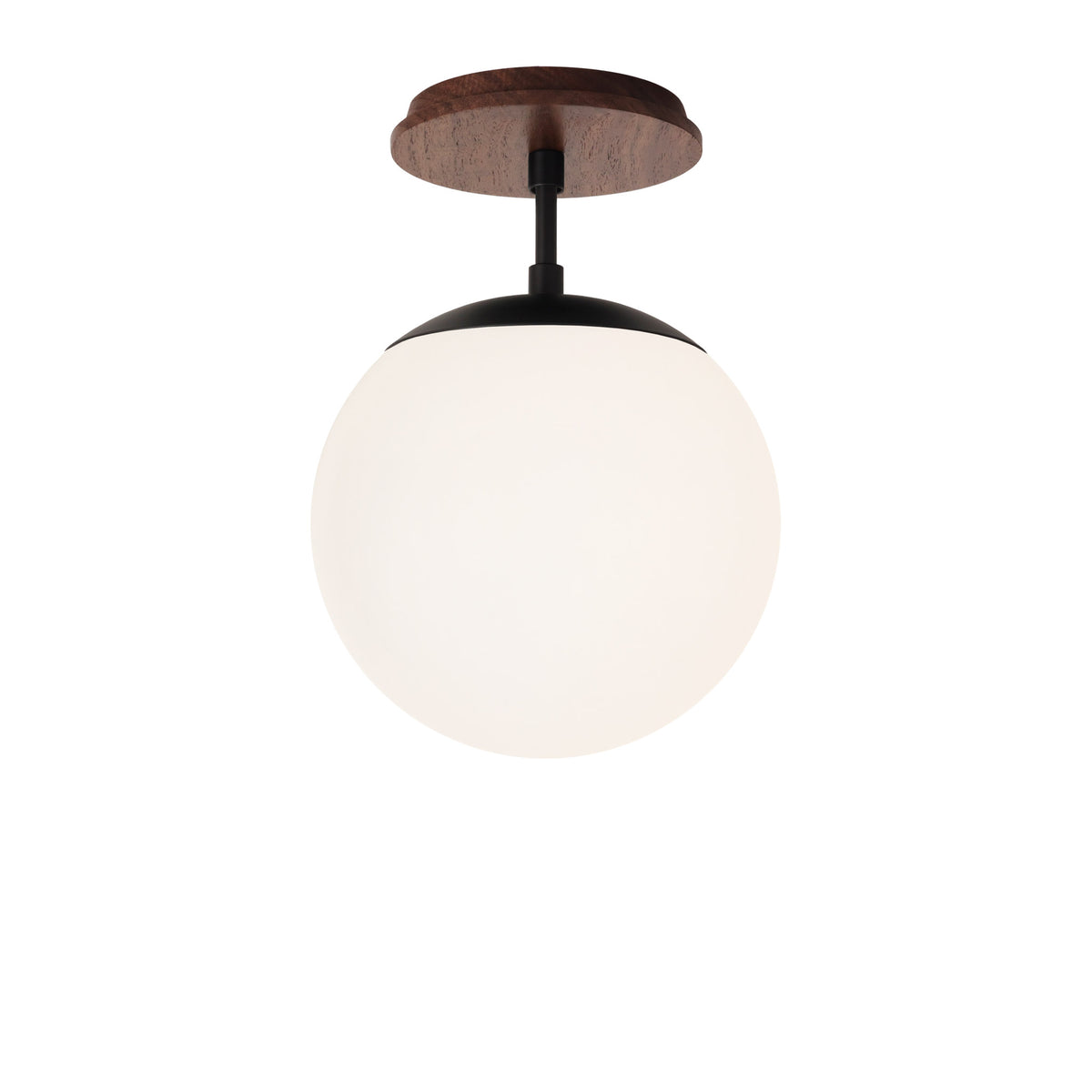 Alto Surface 8" shown in Matte Black with a Walnut Wood Canopy