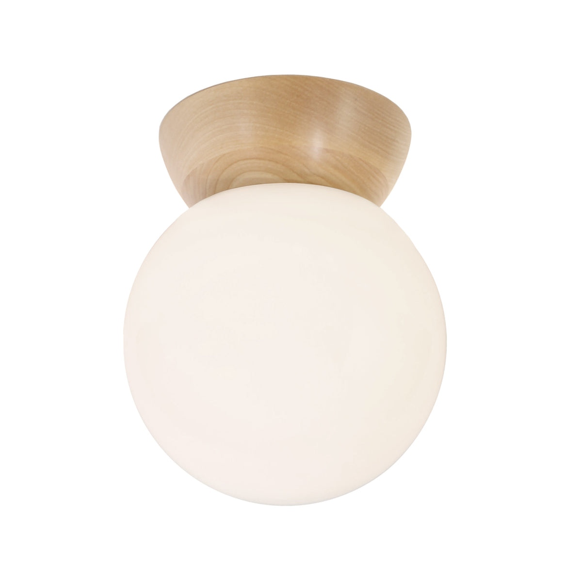 Wren 8" shown in Maple