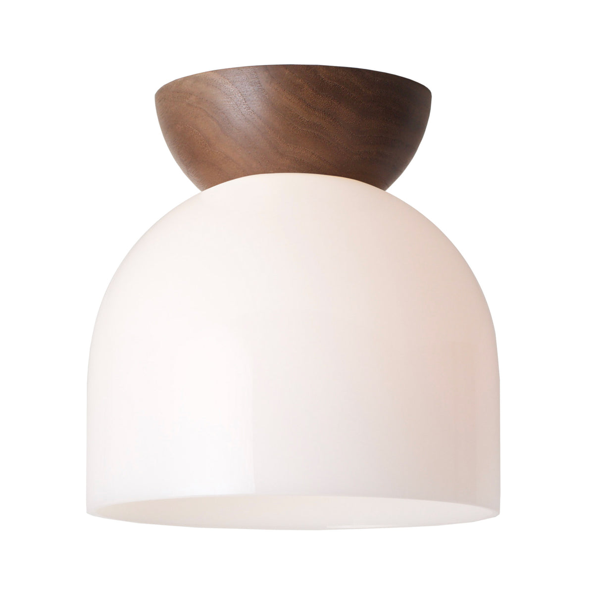 Glass Amélie Surface 8" shown with a Walnut wood canopy