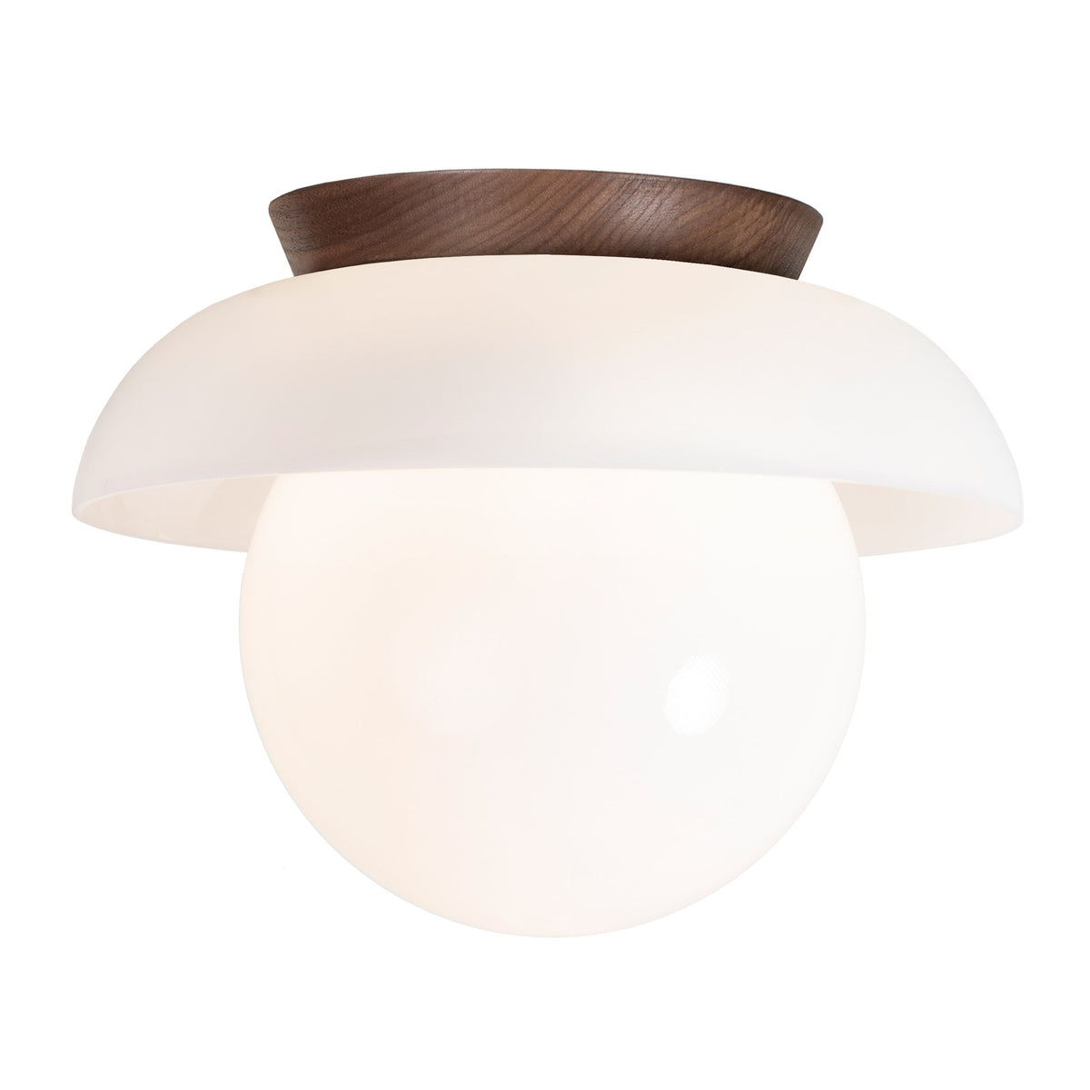 Glass Lexi Large 8" shown in Walnut