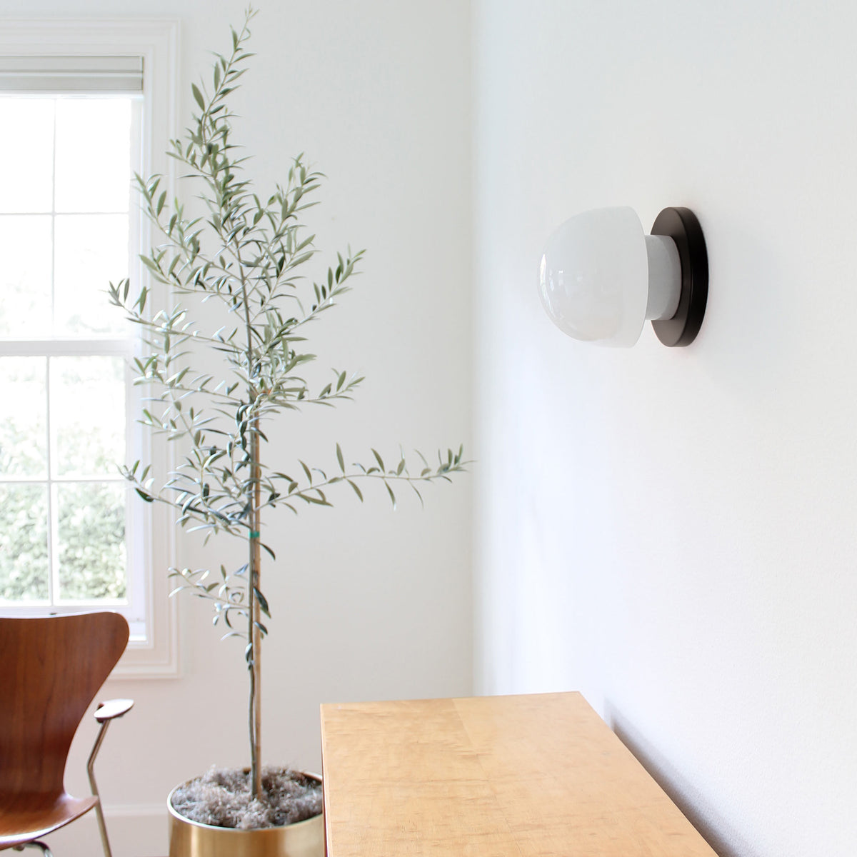 Anni shown with a Matte Black canopy and White accent finish
