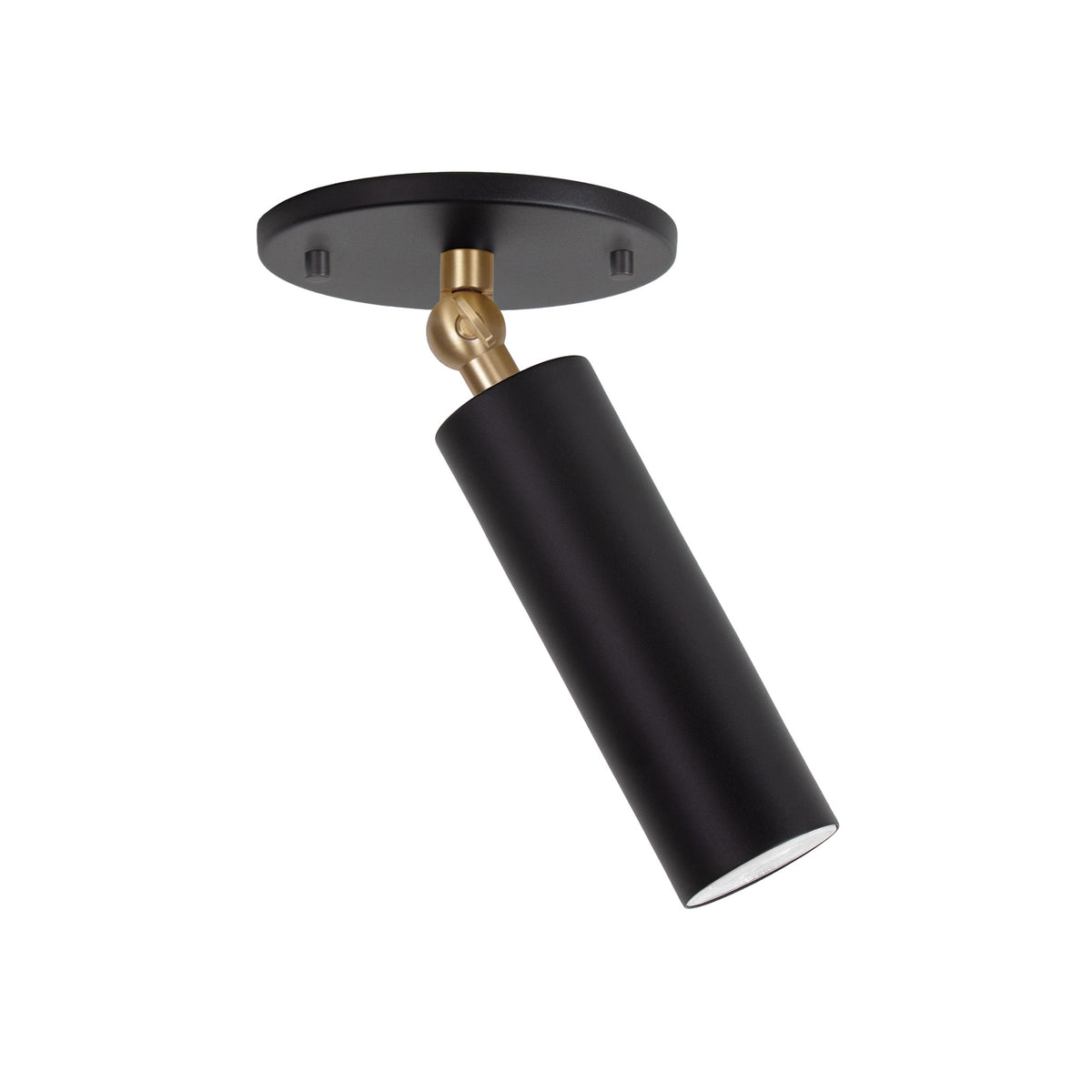 Fjord Spot Surface shown in Matte Black with Brass