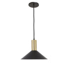 June Cord Pendant shown in Matte Black with Brass and a Black cloth cord