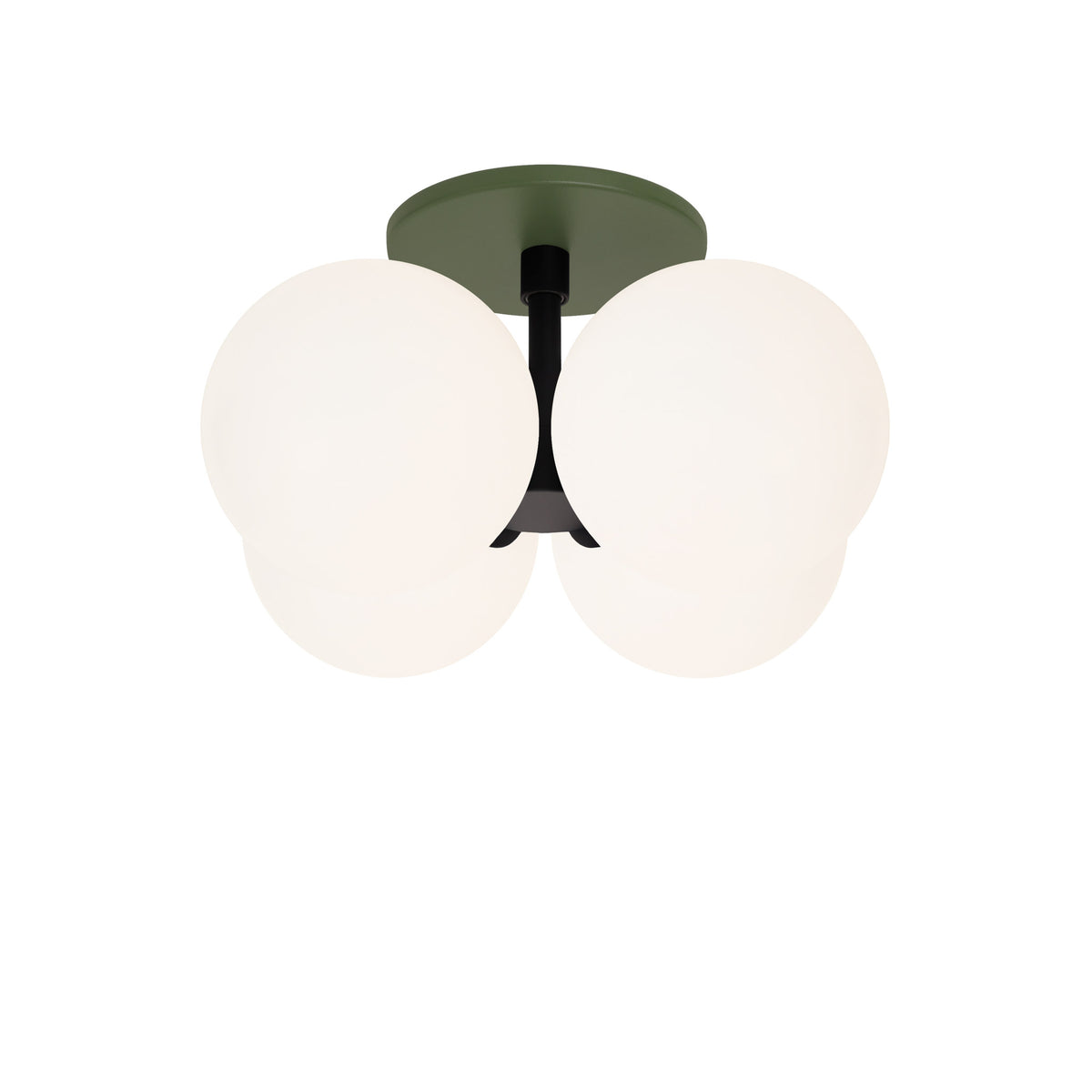 Selene Compass Surface shown in Matte Black with a Secret Garden Green Canopy