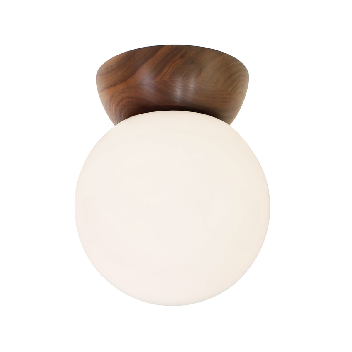 Wren 8" shown in Walnut