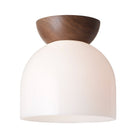 Glass Amélie Surface 8" shown with a Walnut wood canopy