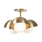 Noor 3 Surface shown in Brass