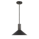 June Rod Pendant shown in Matte Black with Graphite Patina