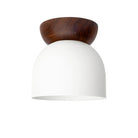 Amélie Surface 6" shown in White with a Walnut canopy